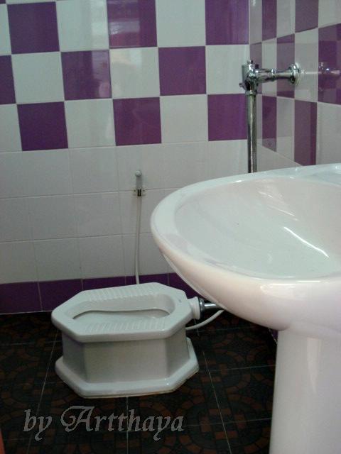 Toilet27.JPG